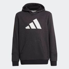 Future icons 3-stripes hoodie