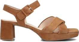 Gabor sandalen
dames 953, maat: 36, materiaal: suède, kleur: cognac