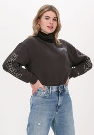 Grijze tommy jeans coltrui tjw bxy unitees3 turtle neck