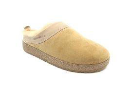 Haflinger snowbird