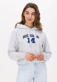 Lichtgrijze champion trui hooded sweatshirt 115110