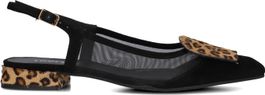 Lodi slingbacks
dames bro5264, maat: 36, materiaal: leer, kleur: zwart