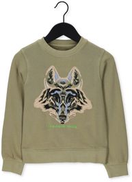 Olijf zadig & voltaire sweater x25325 - Groen