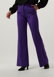 Paarse access pantalon flare pants with metallic stud d