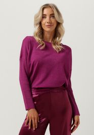 Paarse ydence trui knitted top lani