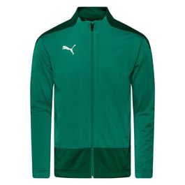 Puma trainingsjas teamgoal 23 - groen/groen