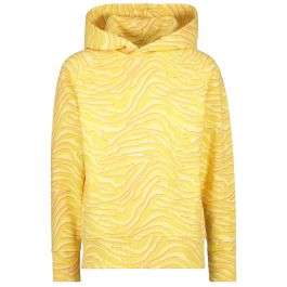 Raizzed Hoodies voor Dames Nieuwe collectie Tot 30 Korting Dresscode