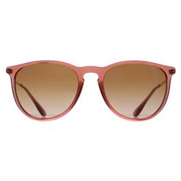 Ray-ban ronde dames transparant lichtbruin bruin gradiënt rb4171 erika