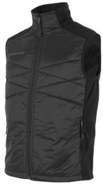 Stanno functionals thermal vest