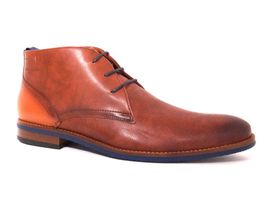 Van lier 2015341