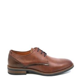 Van lier 2218621